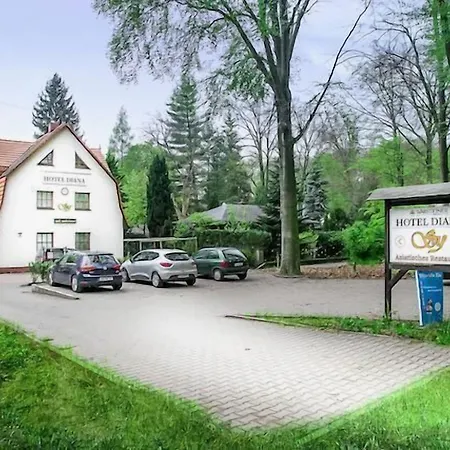 Hotel Diana Guest house 3*